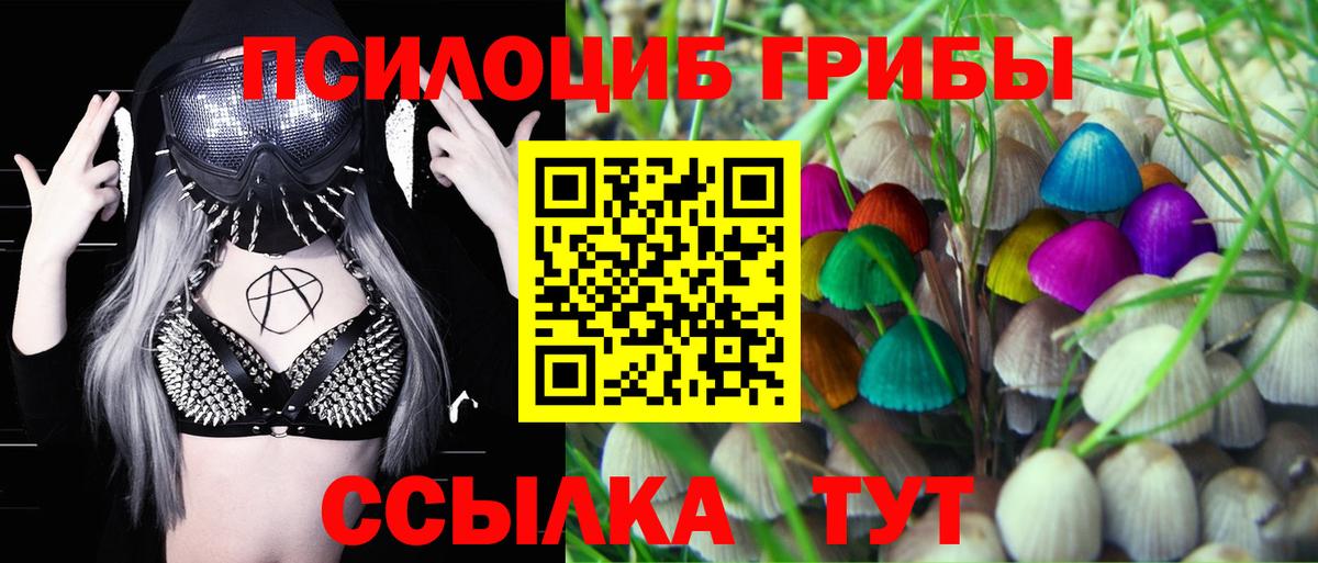 Псилоцибиновые грибы MAGIC MUSHROOMS Александров