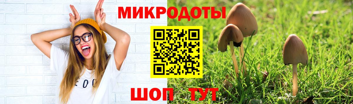 Александров  где продают наркотики  Вход с VPN  Галлюциногенные грибы мухоморы 